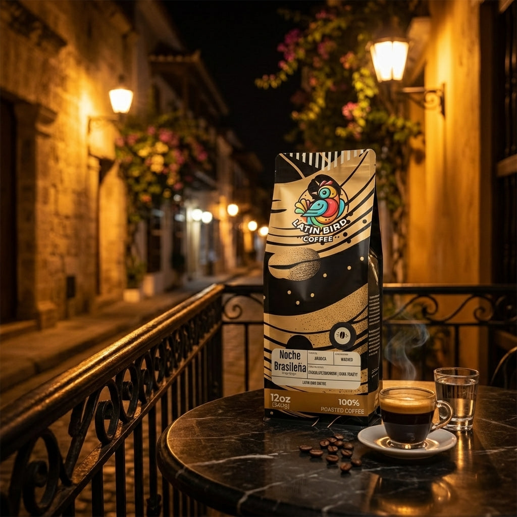 Noche Brasileña